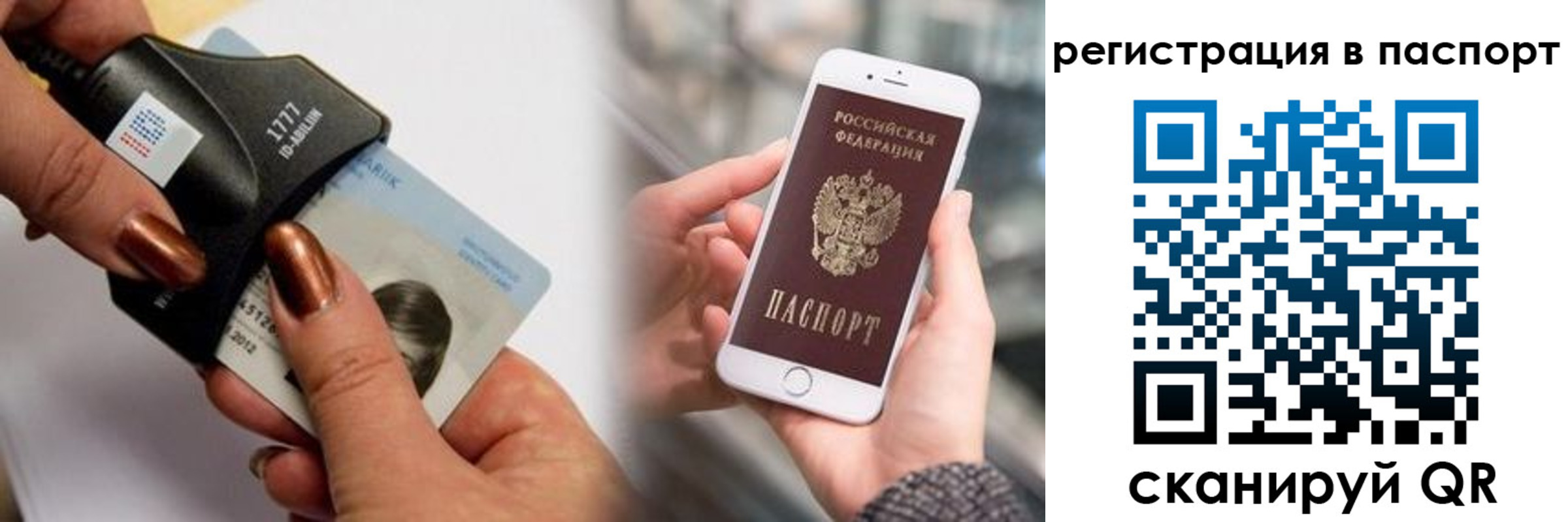 найти адрес прописки в Светлом